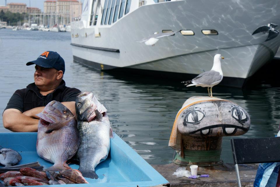 La pêche du jour à Marseille